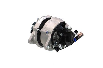 GENERATOR / ALTERNATOR REMANTE 011003000200R 10