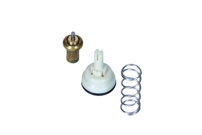 TERMOSTAT LICHID RACIRE NRF 725334 29