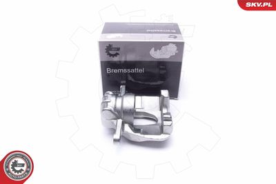 Brake Caliper 55SKV702