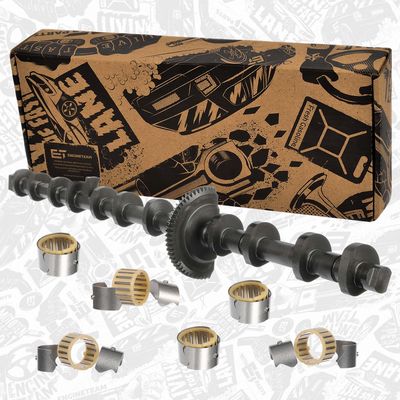 ARBORE EXCENTRIC REGLAREA ARBORELUI CU CAME