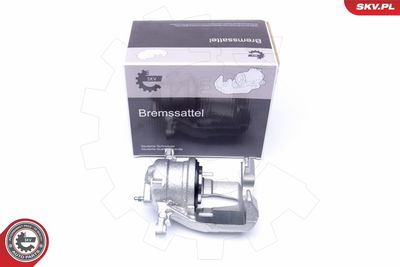 Brake Caliper 42SKV231