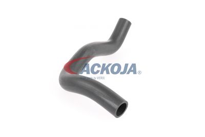 FURTUN RADIATOR ACKOJA A641603 49