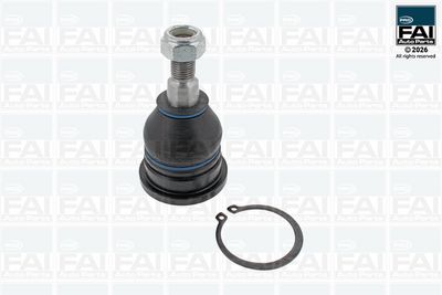 Шарнири FAI AutoParts FPBJ0239