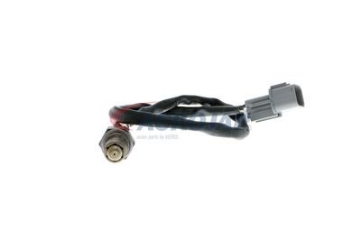 SONDA LAMBDA ACKOJA A53760007 56