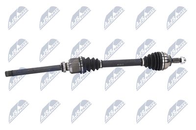 PLANETARA NTY NPWCT107 5