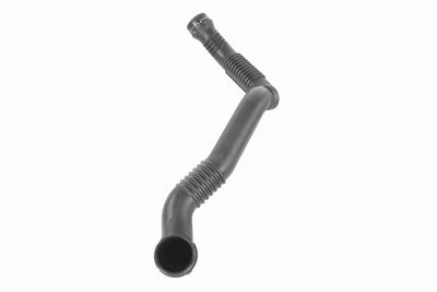 LADELUFTSCHLAUCH VAICO V304507 2