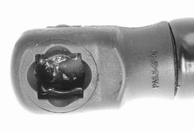 GASFEDER KOFFER-/LADERAUM VAICO V103986 1