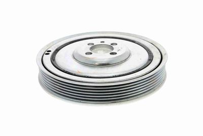 FULIE CUREA ARBORE COTIT VAICO V240025 8