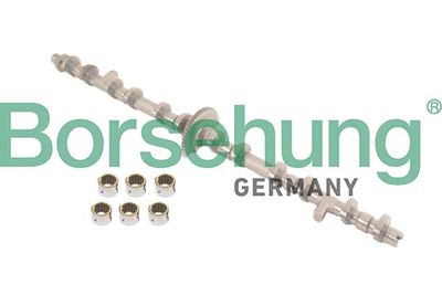 SET DE REPARAțIE REGLAREA ARBORELUI CU CAME Borsehung B12679