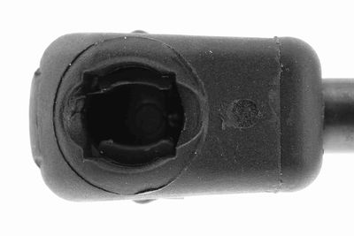 GASFEDER KOFFER-/LADERAUM VAICO V400596 2