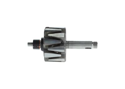 Rotor, alternador