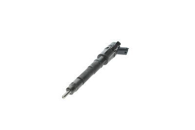 INJECTOR BOSCH 0445110248 24