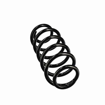 ARC SPIRAL EIBACH R11107 24