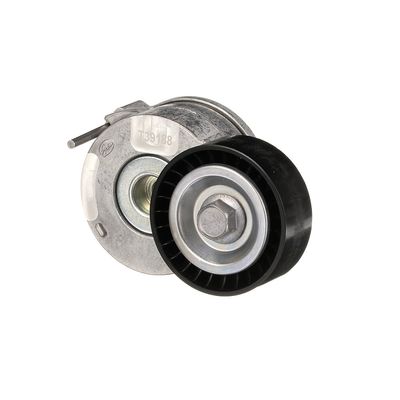 INTINZATOR CUREA CUREA DISTRIBUTIE GATES T39188 5