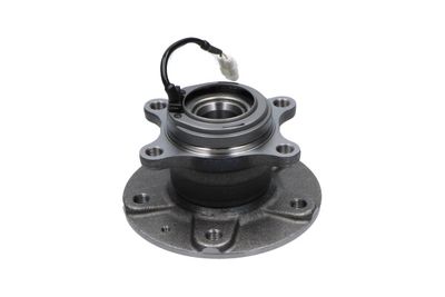 Kavo Parts Rato guolio komplektas