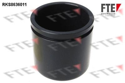 FTE RKS8636011 Комплект направляющей суппорта  для FIAT SEDICI (Фиат Седики)