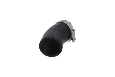 FURTUN EAR SUPRAALIMENTARE