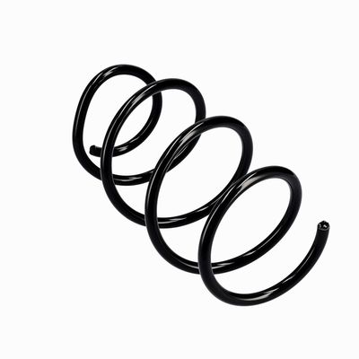 ARC SPIRAL EIBACH R10546 11