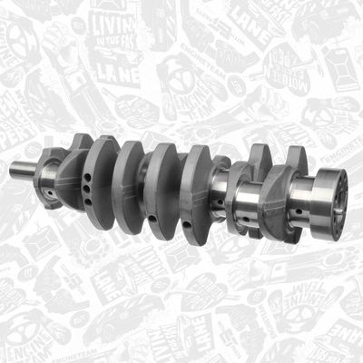 ARBORE COTIT ET ENGINETEAM HK0166 2