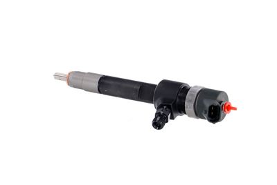 INJECTOR REMANTE 002003001695R 16
