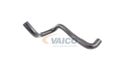 KüHLERSCHLAUCH VAICO V251790 13