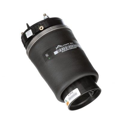 LUFTFEDER FAHRWERK Arnott A2934 56