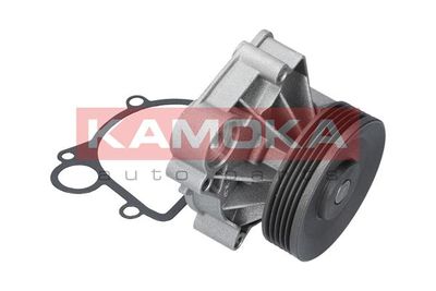 Water Pump, engine cooling T0061