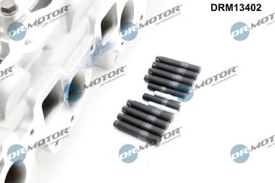 CHIULASA Dr.Motor Automotive DRM13402 3