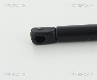 AMORTIZOR CAPOTA TRISCAN 871017106 2