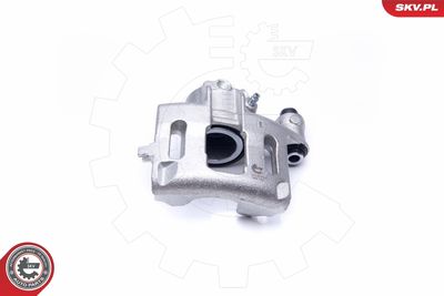 Brake Caliper 42SKV131