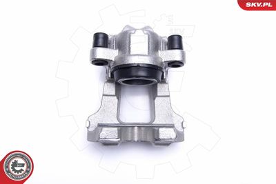 Brake Caliper 55SKV441