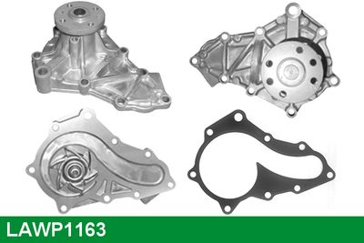 POMPă DE APă RăCIRE MOTOR