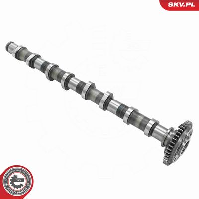 AX CU CAME ESEN SKV 80SKV012 1