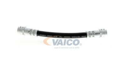 FURTUN FRANA VAICO V104114 26