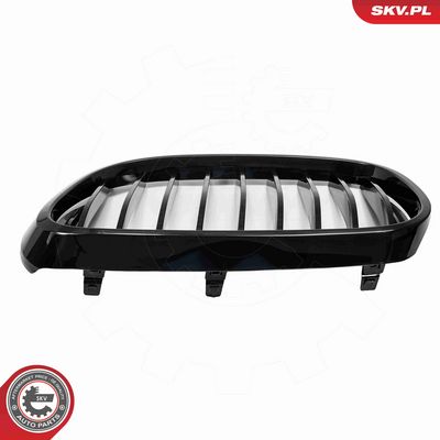 GRILA RADIATOR ESEN SKV 66SKV222 6