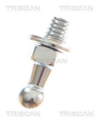 AMORTIZOR PORTBAGAJ TRISCAN 871069229 3