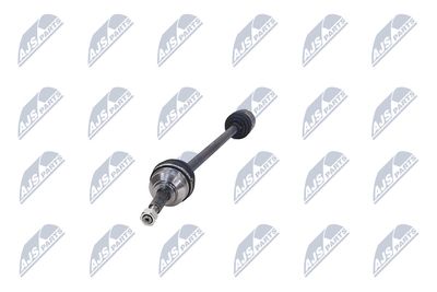 PLANETARA NTY NPWCH106 17