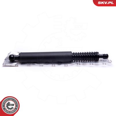 Dujinė spyruoklė, bagažinė