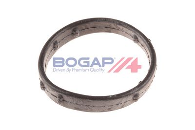 GARNITURA CAPAC SUPAPE BOGAP A1118115