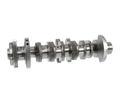 ARBORE COTIT ET ENGINETEAM HK0183 18