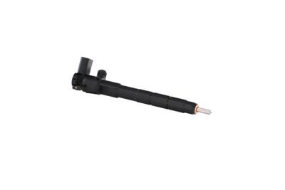 INJECTOR REMANTE 002003002261R 43