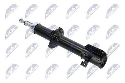 AMORTIZOR NTY APL016 10