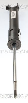 AMORTIZOR TRISCAN 870582202 2