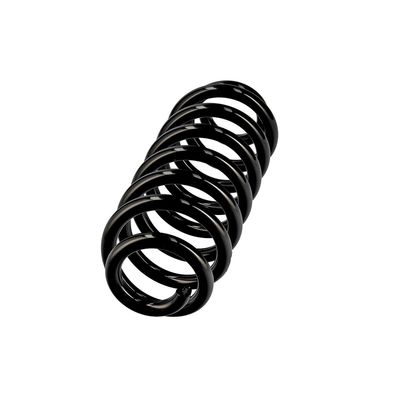 ARC SPIRAL EIBACH R10586 2