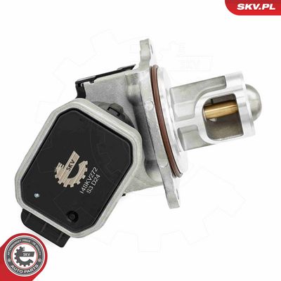 AGR-Ventil ESEN SKV 14SKV272