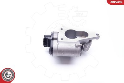 EGR Valve 14SKV165