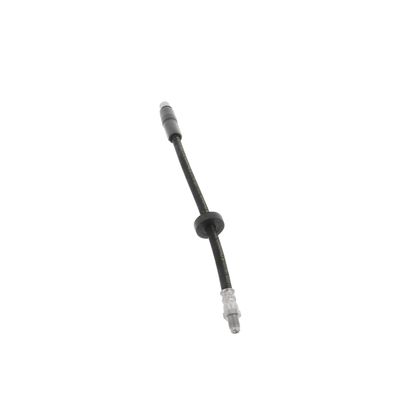 FURTUN FRANA CORTECO 19035313 55