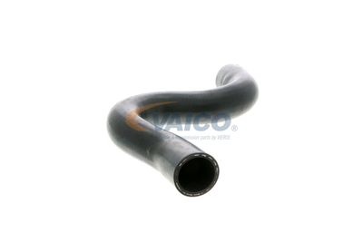 FURTUN RADIATOR VAICO V220513 41