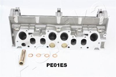 CHIULASA ASHIKA PE01ES 4