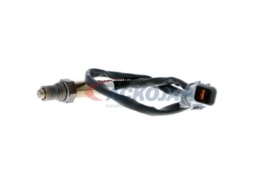 SONDA LAMBDA ACKOJA A53760007 15